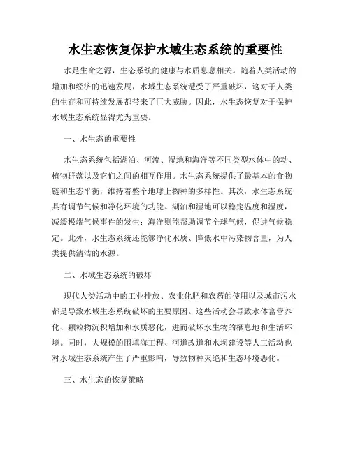 水生态恢复保护水域生态系统的重要性