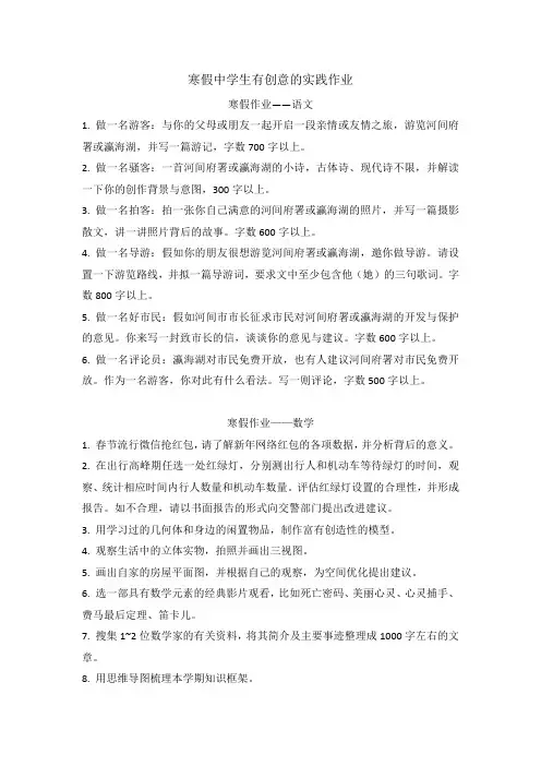 寒假中学生有创意的实践作业