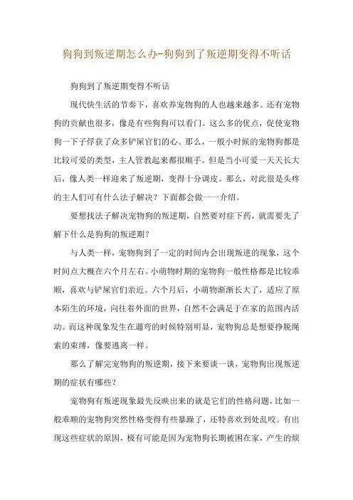 狗狗到叛逆期怎么办-狗狗到了叛逆期变得不听话