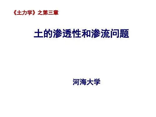 河海大学土力学3-第三章.ppt