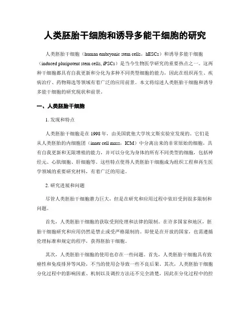 人类胚胎干细胞和诱导多能干细胞的研究