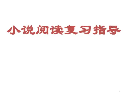 高考语文专题复习小说阅读复习指导页PPT教学课件