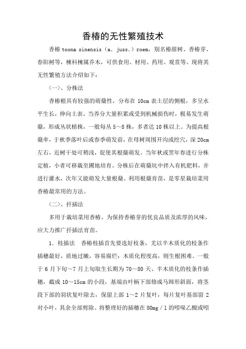 香椿的无性繁殖技术)