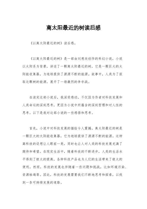 离太阳最近的树读后感