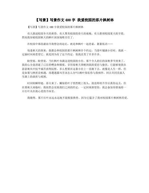 【写景】写景作文400字 我爱校园的那片枫树林