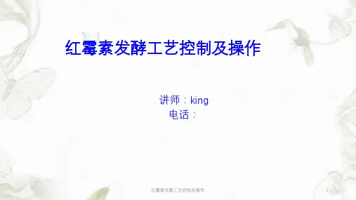 红霉素发酵工艺控制及操作ppt课件