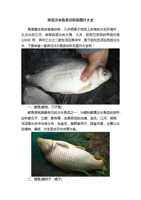 常见淡水鱼类名称及图片大全