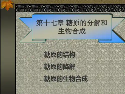 第十七章：糖原的分解和生物合成(1)