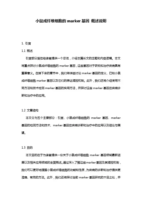 小鼠成纤维细胞的marker基因_概述说明