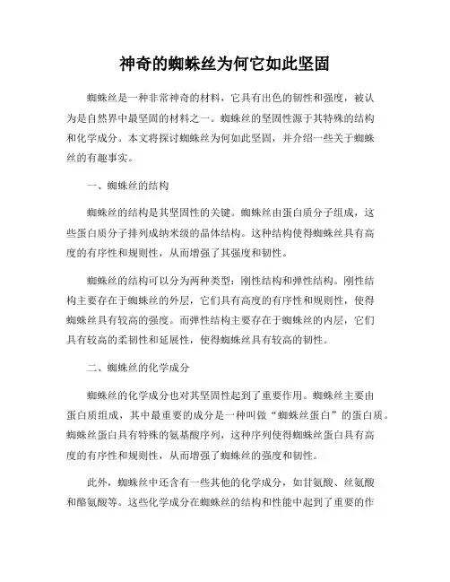 神奇的蜘蛛丝为何它如此坚固
