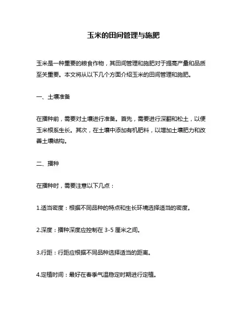 玉米的田间管理与施肥