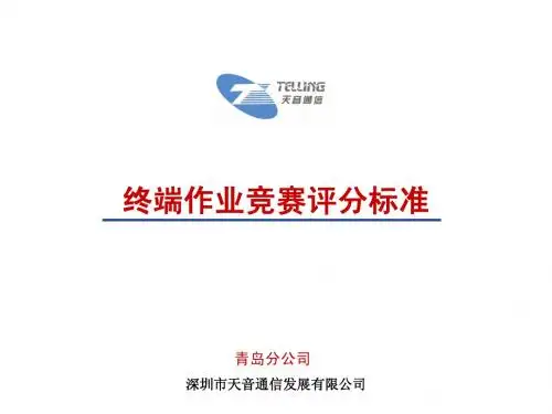 终端作业考核办法及评分标准