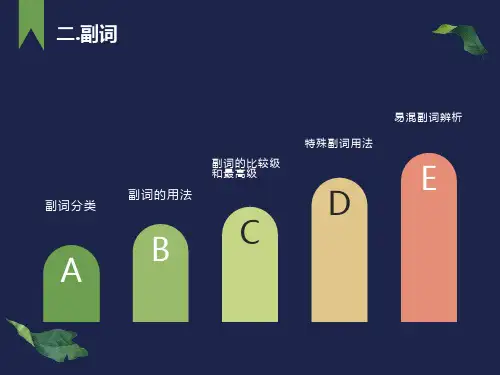 高中英语语法-副词的用法