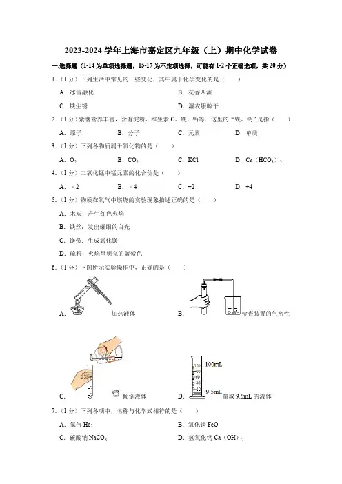 2023-2024学年上海市嘉定区九年级(上)期中化学试卷(含解析)