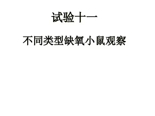 不同类型缺氧小鼠观察