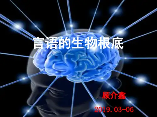 语言的生物基础中枢神经系统-端脑(5)ppt课件