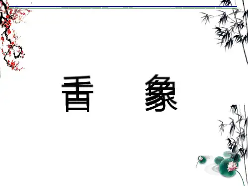 中医舌诊知识