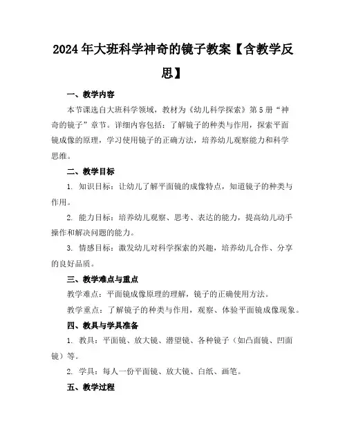 2024年大班科学神奇的镜子教案【含教学反思】