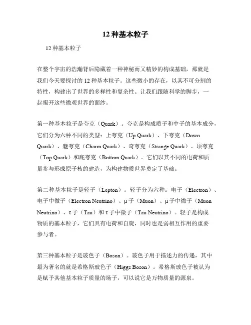 12种基本粒子