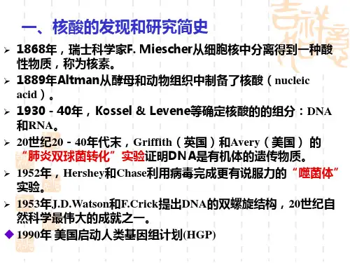 第三章核酸的化学