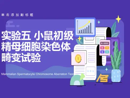 实验五小鼠初级精母细胞染色体畸变试验