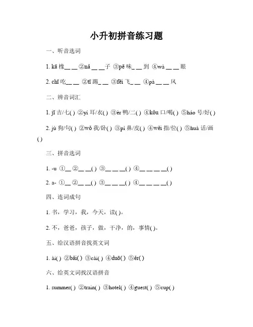 小升初拼音练习题
