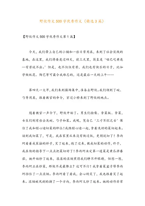 野炊作文500字优秀作文(精选3篇)