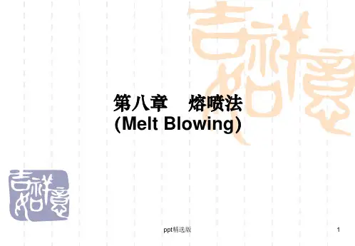 熔喷法无纺布生产工艺介绍ppt课件