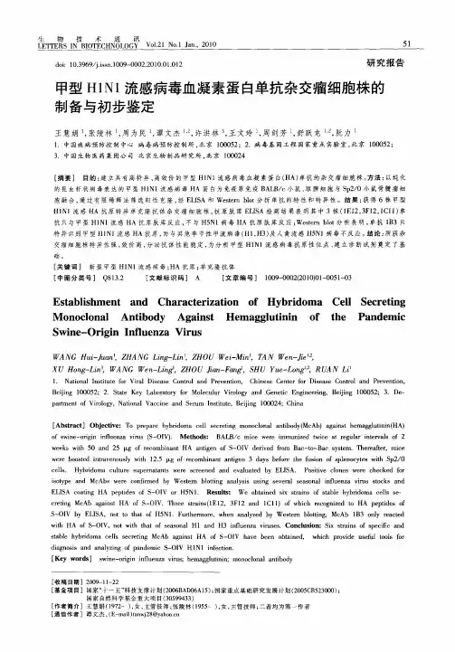 甲型H1N1流感病毒血凝素蛋白单抗杂交瘤细胞株的制备与初步鉴定