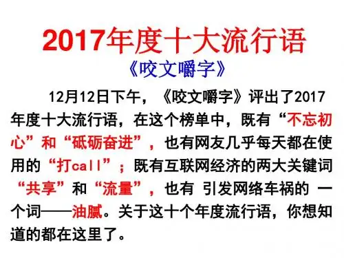 2017年度十大流行语(精制课件)