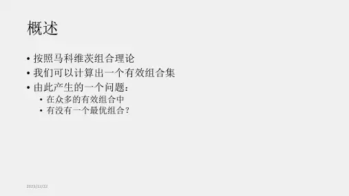 金融建模课件07章资本资产定价模型