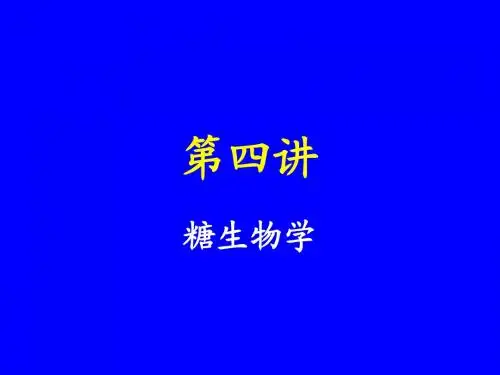 第四讲 糖生物学