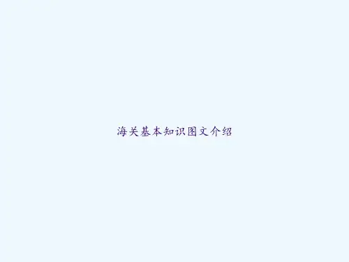 海关基本知识图文介绍 PPT