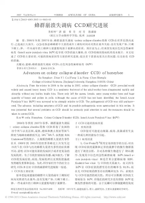 蜂群崩溃失调病_CCD_研究进展_苏松坤