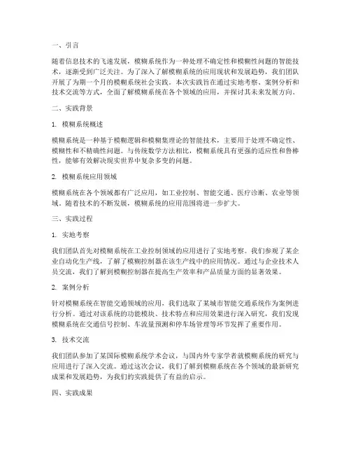 模糊系统社会实践报告