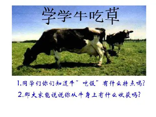 初中语文_季羡林《成功》PPT_ppt_课件