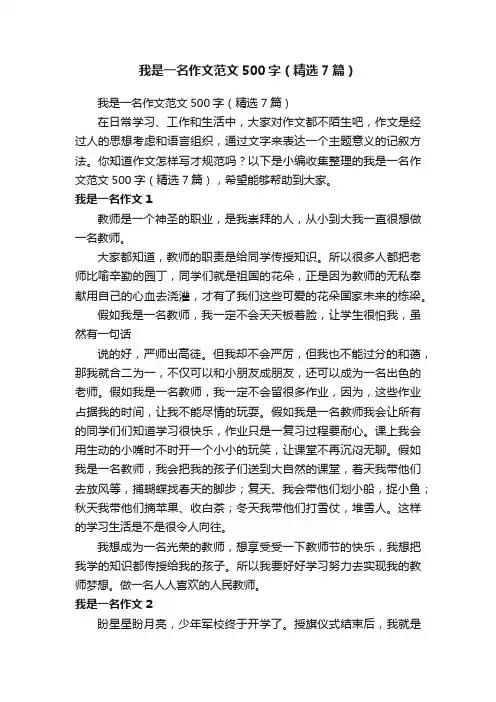 我是一名作文范文500字（精选7篇）