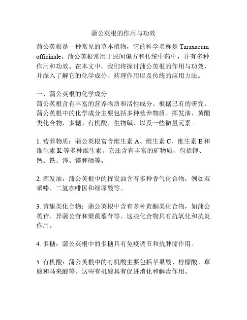 蒲公英根的作用与功效