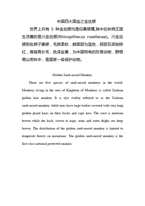 中国四大国宝之金丝猴