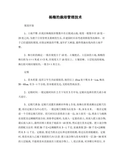 杨梅的栽培管理技术