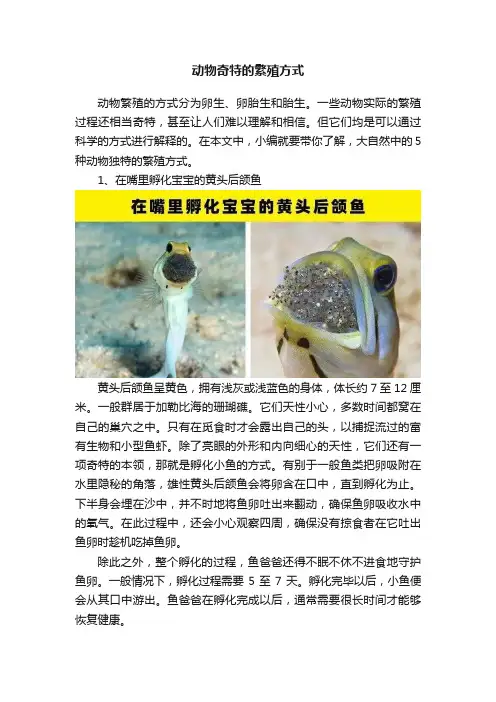 动物奇特的繁殖方式