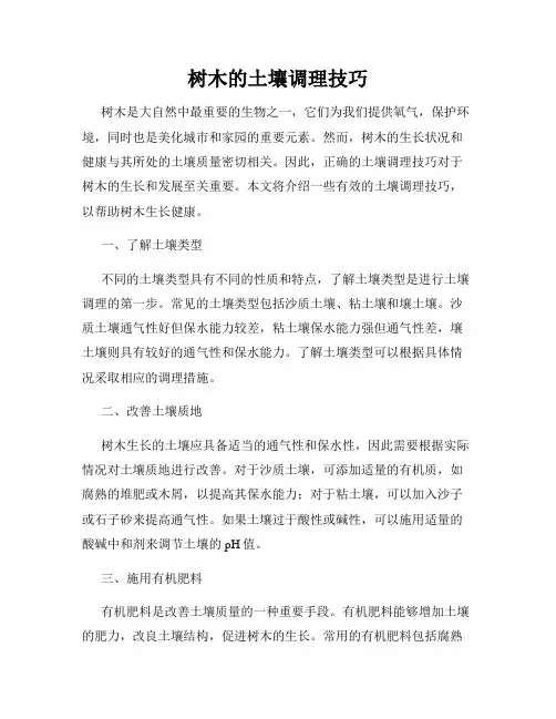 树木的土壤调理技巧