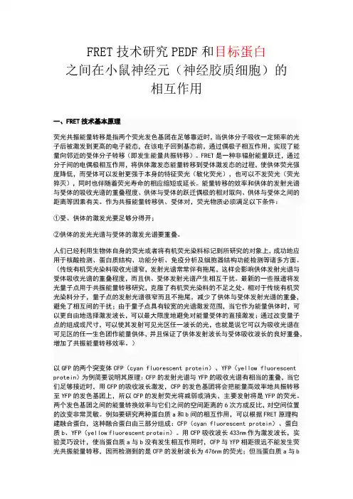 荧光共振能量转移