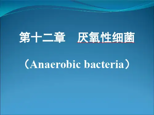 12 厌氧性细菌