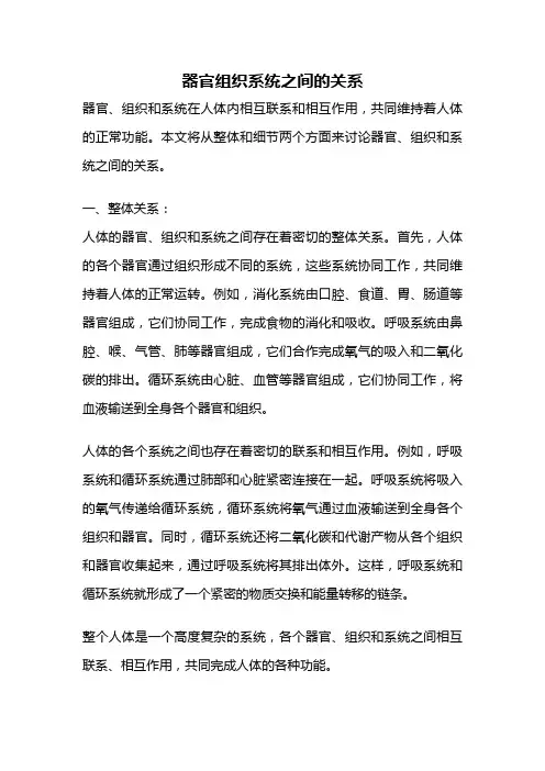 器官组织系统之间的关系