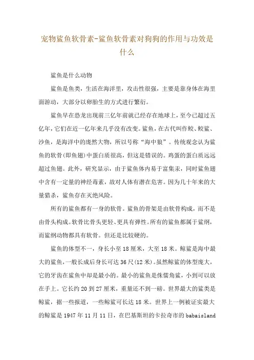 宠物鲨鱼软骨素-鲨鱼软骨素对狗狗的作用与功效是什么
