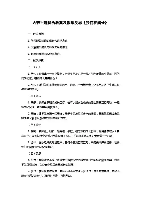 大班主题优秀教案及教学反思《我们在成长》