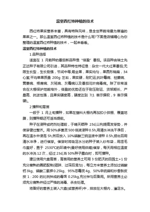 温室西红柿种植的技术