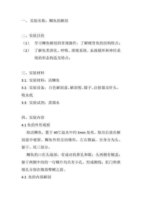 鲫鱼的解剖