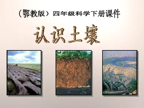 《认识土壤》PPT课件2